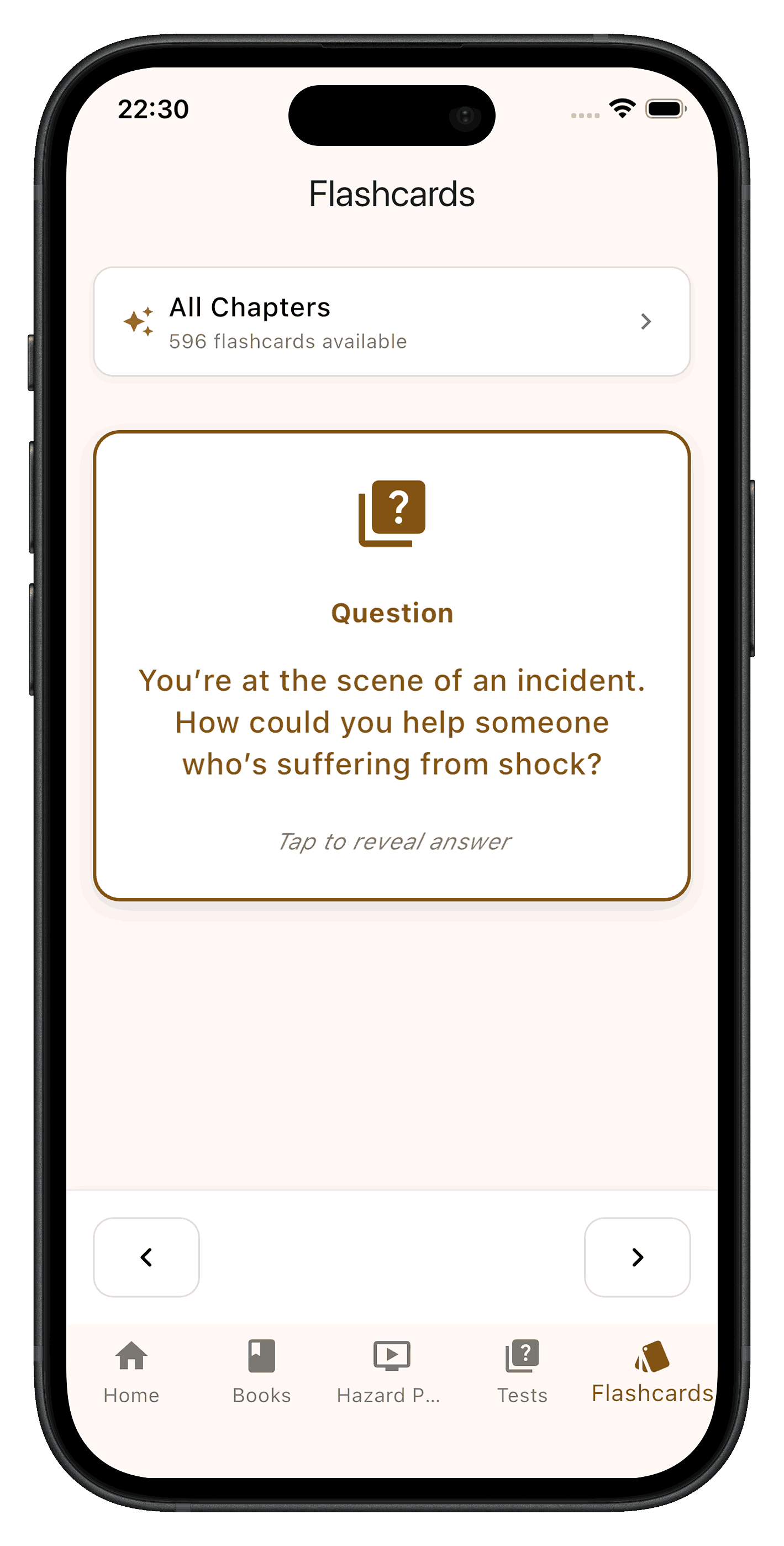 Flashcards Feature